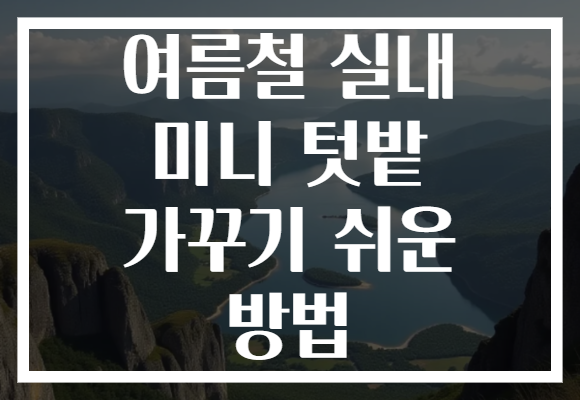 여름철 실내 미니 텃밭 가꾸기 쉬운 방법