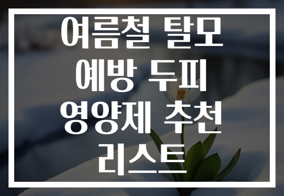 여름철 탈모 예방 두피 영양제 추천 리스트