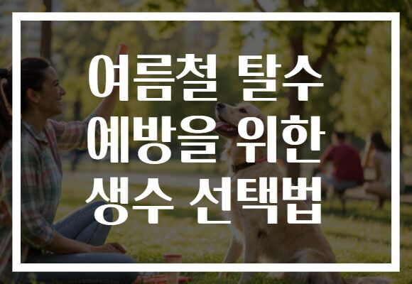 여름철 탈수 예방을 위한 생수 선택법
