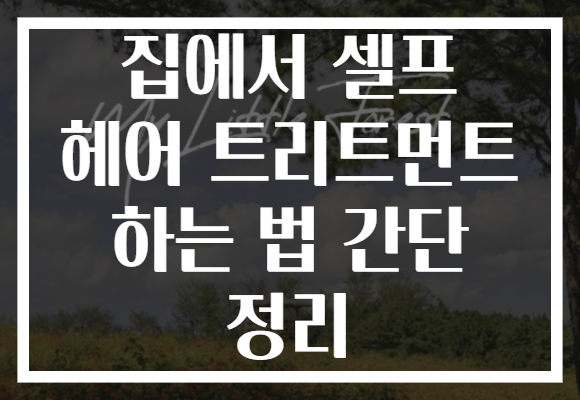 집에서 셀프 헤어 트리트먼트 하는 법 간단 정리