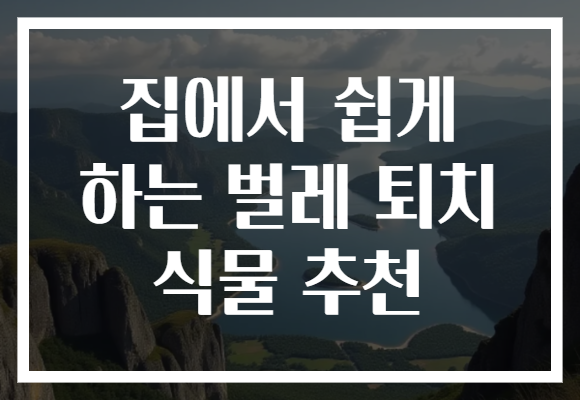 집에서 쉽게 하는 벌레 퇴치 식물 추천