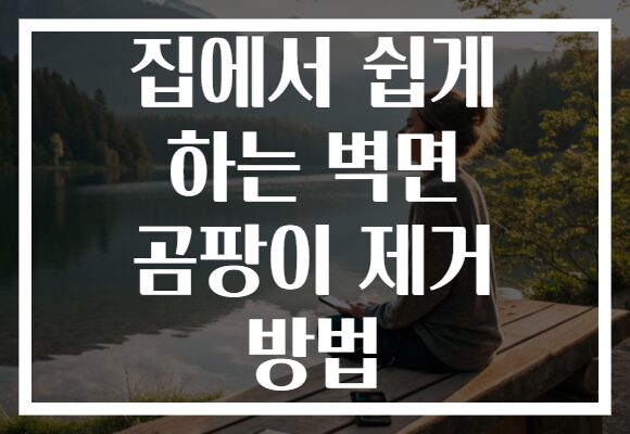 집에서 쉽게 하는 벽면 곰팡이 제거 방법