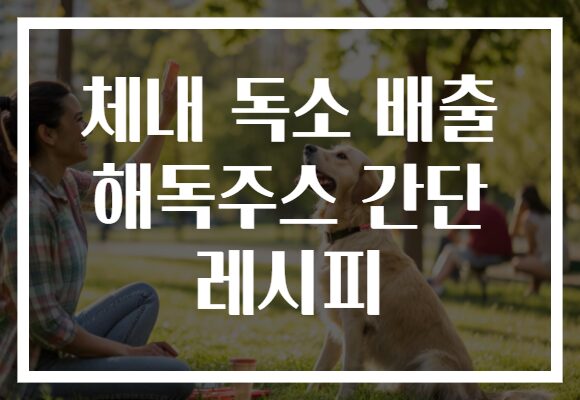 체내 독소 배출 해독주스 간단 레시피