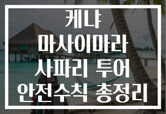 케냐 마사이마라 사파리 투어 안전수칙 총정리