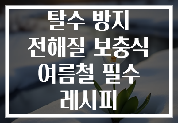 탈수 방지 전해질 보충식 여름철 필수 레시피