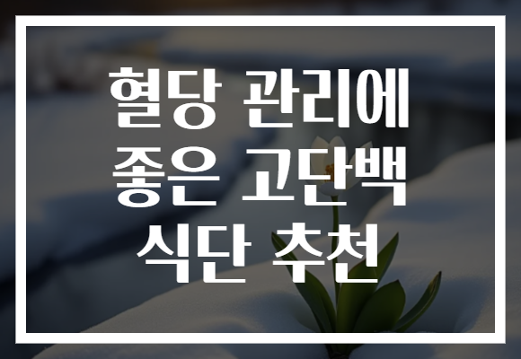 혈당 관리에 좋은 고단백 식단 추천