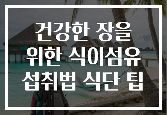 건강한 장을 위한 식이섬유 섭취법 식단 팁
