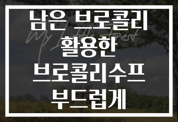 남은 브로콜리 활용한 브로콜리수프 부드럽게
