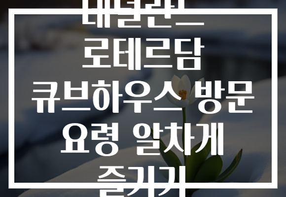 네덜란드 로테르담 큐브하우스 방문 요령 알차게 즐기기