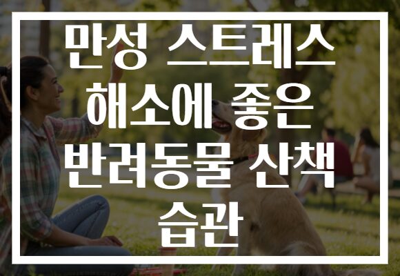 만성 스트레스 해소에 좋은 반려동물 산책 습관