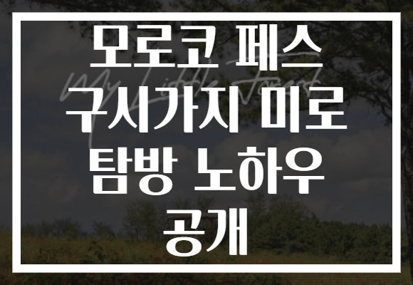 모로코 페스 구시가지 미로 탐방 노하우 공개