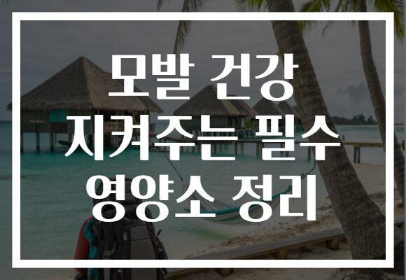 모발 건강 지켜주는 필수 영양소 정리