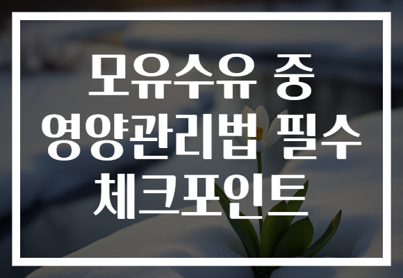 모유수유 중 영양관리법 필수 체크포인트