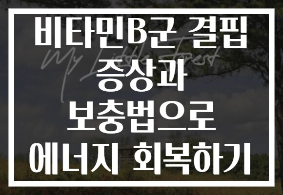 비타민B군 결핍 증상과 보충법으로 에너지 회복하기