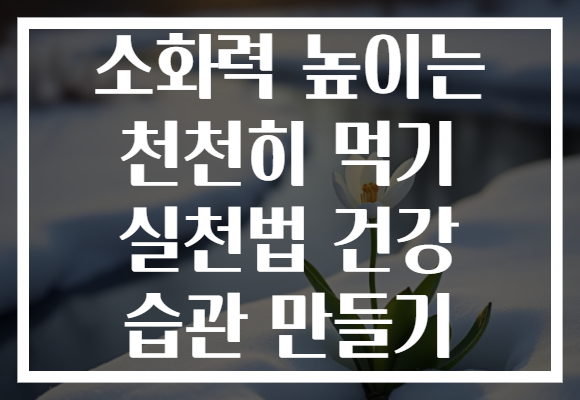 소화력 높이는 천천히 먹기 실천법 건강 습관 만들기