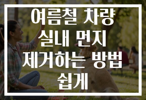 여름철 차량 실내 먼지 제거하는 방법 쉽게