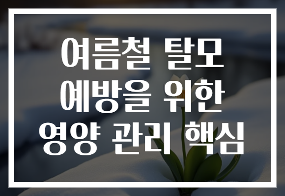 여름철 탈모 예방을 위한 영양 관리 핵심