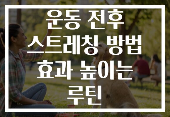 운동 전후 스트레칭 방법 효과 높이는 루틴