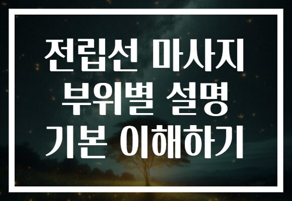 전립선 마사지 부위별 설명 기본 이해하기