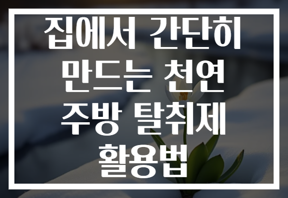 집에서 간단히 만드는 천연 주방 탈취제 활용법
