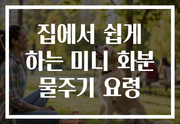 집에서 쉽게 하는 미니 화분 물주기 요령