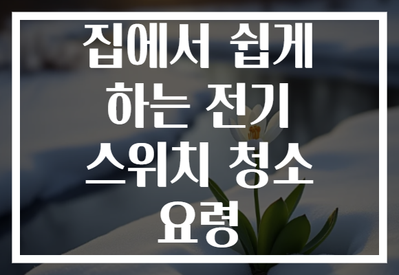 집에서 쉽게 하는 전기 스위치 청소 요령
