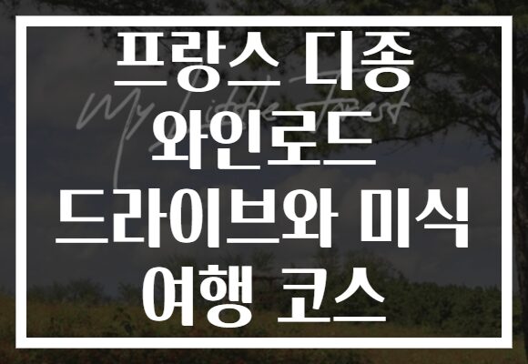 프랑스 디종 와인로드 드라이브와 미식 여행 코스