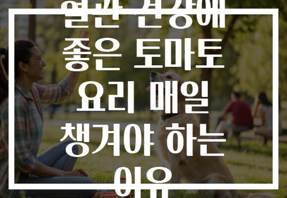 혈관 건강에 좋은 토마토 요리 매일 챙겨야 하는 이유