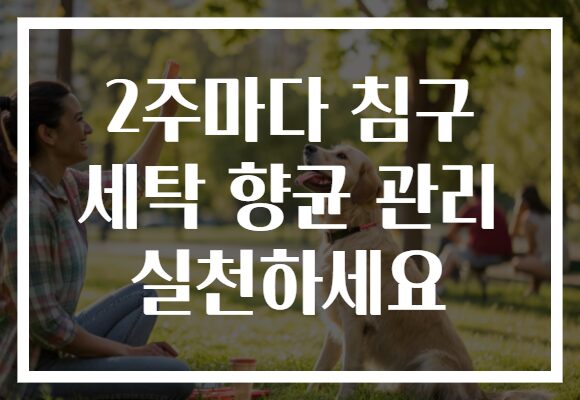 2주마다 침구 세탁 향균 관리 실천하세요