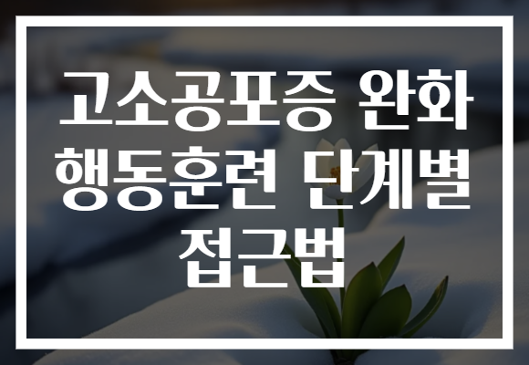 고소공포증 완화 행동훈련 단계별 접근법