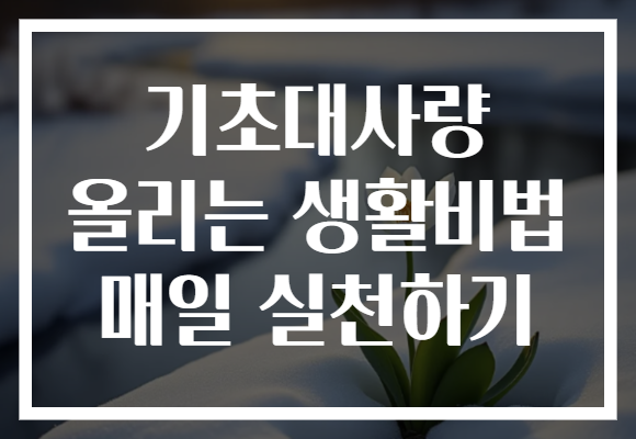 기초대사량 올리는 생활비법 매일 실천하기