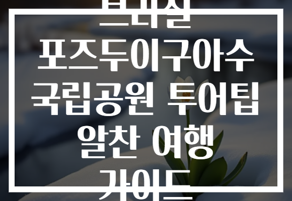 브라질 포즈두이구아수 국립공원 투어팁 알찬 여행 가이드