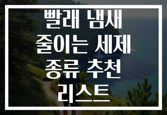 빨래 냄새 줄이는 세제 종류 추천 리스트