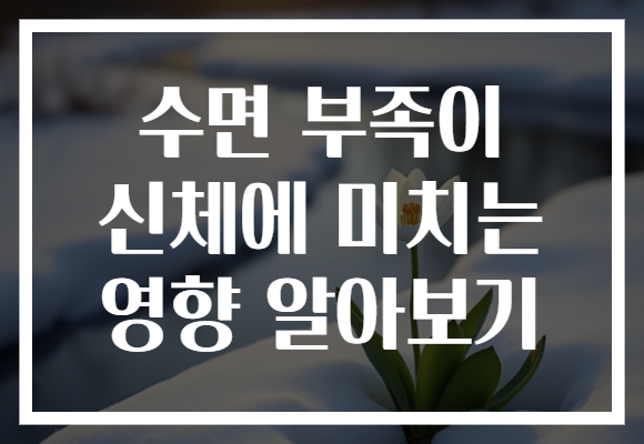 수면 부족이 신체에 미치는 영향 알아보기