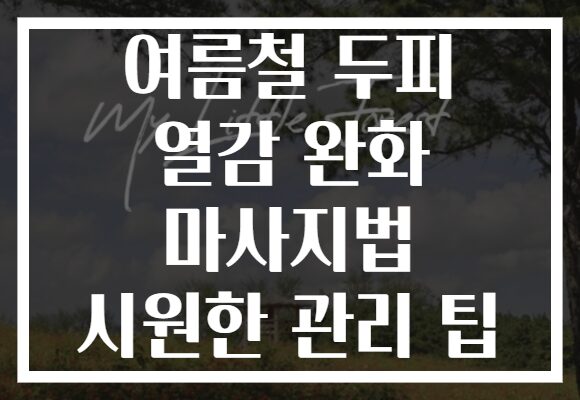 여름철 두피 열감 완화 마사지법 시원한 관리 팁