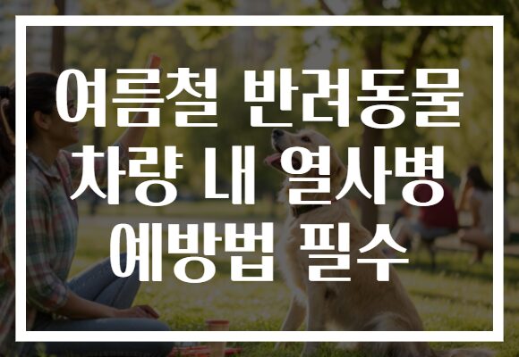여름철 반려동물 차량 내 열사병 예방법 필수