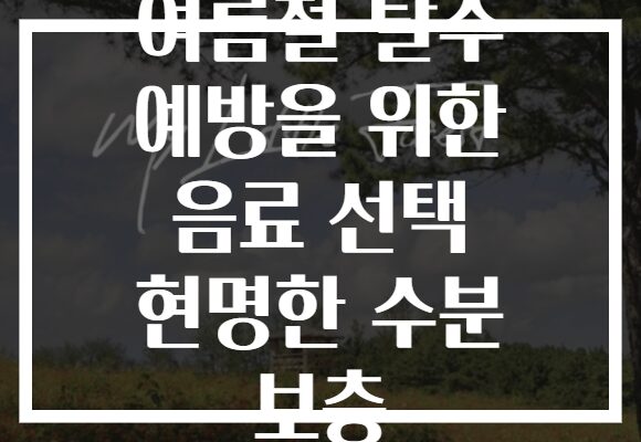 여름철 탈수 예방을 위한 음료 선택 현명한 수분 보충