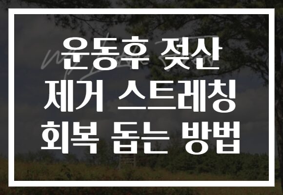 운동후 젖산 제거 스트레칭 회복 돕는 방법