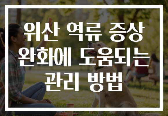 위산 역류 증상 완화에 도움되는 관리 방법