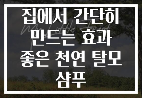집에서 간단히 만드는 효과 좋은 천연 탈모 샴푸