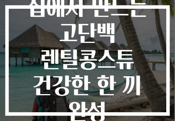 집에서 만드는 고단백 렌틸콩스튜 건강한 한 끼 완성