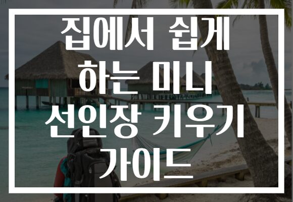 집에서 쉽게 하는 미니 선인장 키우기 가이드