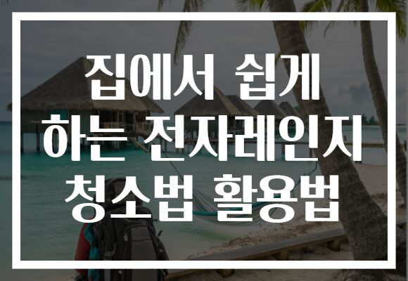 집에서 쉽게 하는 전자레인지 청소법 활용법
