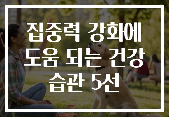 집중력 강화에 도움 되는 건강 습관 5선