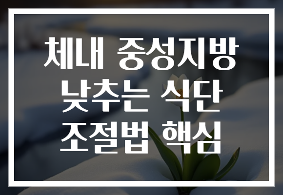 체내 중성지방 낮추는 식단 조절법 핵심