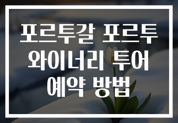 포르투갈 포르투 와이너리 투어 예약 방법