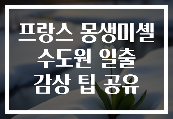 프랑스 몽생미셸 수도원 일출 감상 팁 공유