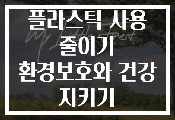플라스틱 사용 줄이기 환경보호와 건강 지키기