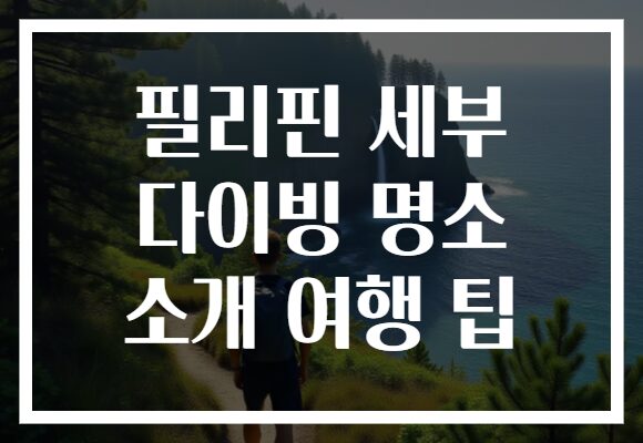 필리핀 세부 다이빙 명소 소개 여행 팁