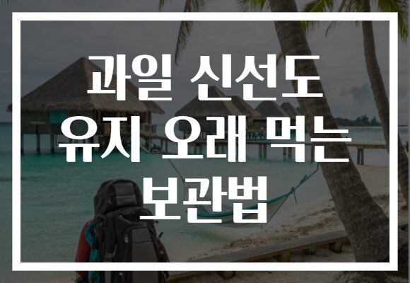 과일 신선도 유지 오래 먹는 보관법